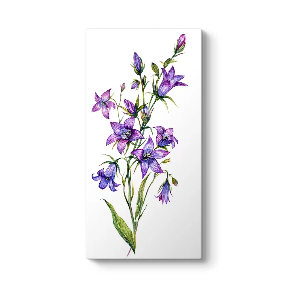 Bluebell Çiçeği Kanvas Tablo - Model 7